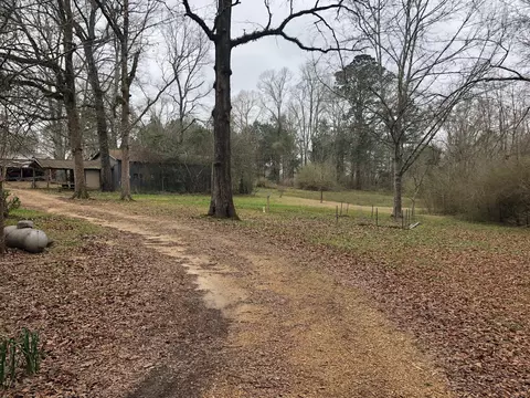 27 Watts Loop, Columbia, MS 39429 photo 4