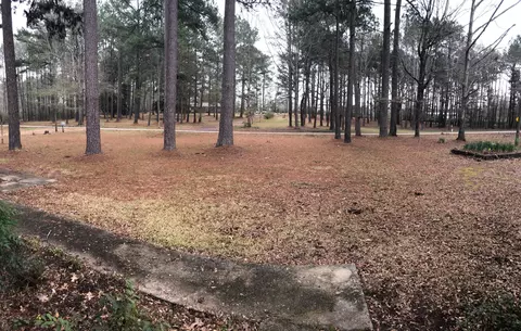 27 Watts Loop, Columbia, MS 39429 photo 13