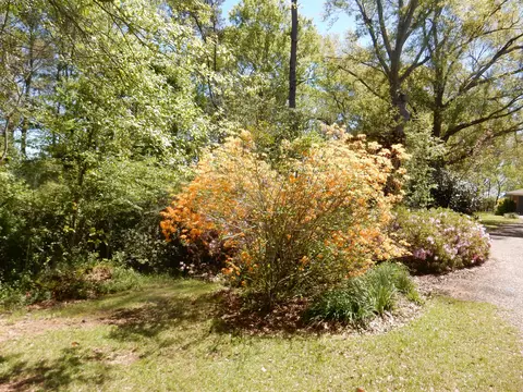 34 Ras Dr, Mount Olive, MS 39119 photo 5