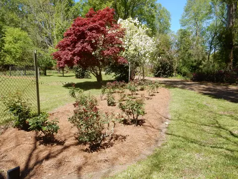 34 Ras Dr, Mount Olive, MS 39119 photo 24