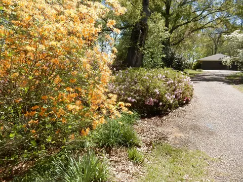34 Ras Dr, Mount Olive, MS 39119 photo 6