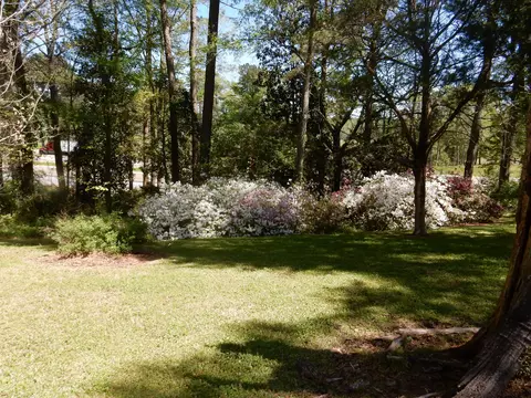 34 Ras Dr, Mount Olive, MS 39119 photo 8