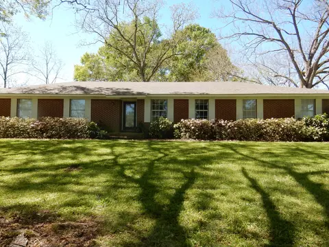 34 Ras Dr, Mount Olive, MS 39119 photo 10