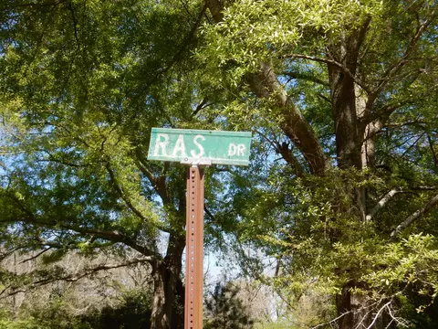 34 Ras Dr, Mount Olive, MS 39119 photo 3