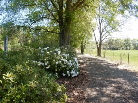 34 Ras Dr, Mount Olive, MS 39119 photo 2