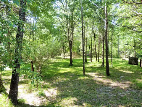 237 Corinth Rd, Purvis, MS 39475 photo 16