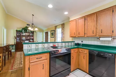 103 Spring Lake Rd, Collins, MS 39428 photo 16