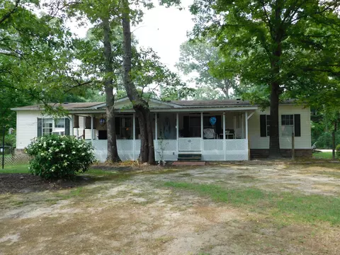 75 Joycelyn Dr, Moselle, MS 39459 photo 56
