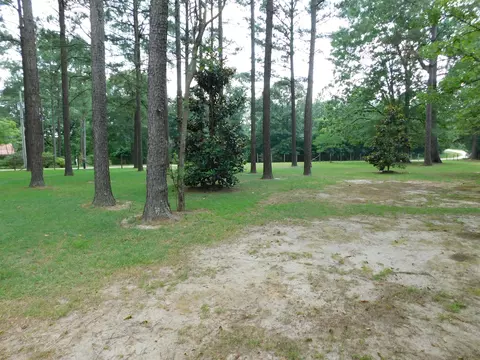75 Joycelyn Dr, Moselle, MS 39459 photo 30