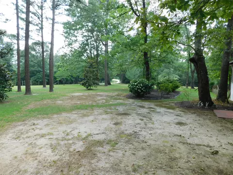 75 Joycelyn Dr, Moselle, MS 39459 photo 28