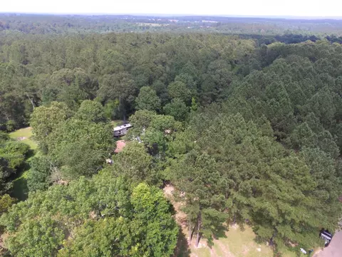 75 Joycelyn Dr, Moselle, MS 39459 photo 48