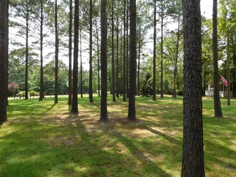 75 Joycelyn Dr, Moselle, MS 39459 photo 36