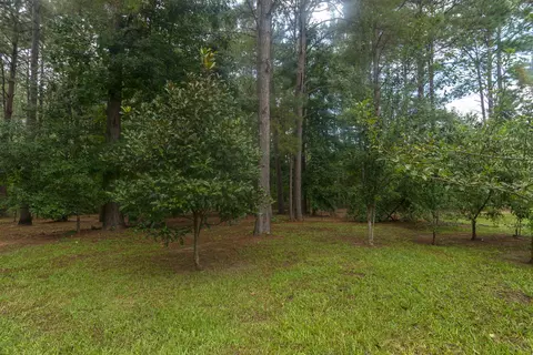89 Old Salt Rd, Sumrall, MS 39482 photo 40