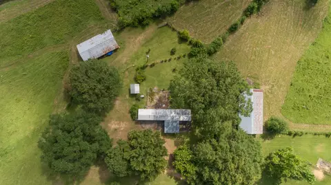 470 Newman Camp Rd, Carson, MS 39427 photo 10