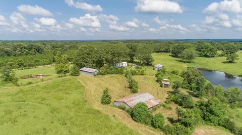 470 Newman Camp Rd, Carson, MS 39427 photo 6