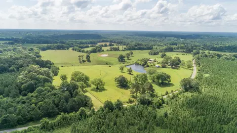 470 Newman Camp Rd, Carson, MS 39427 photo 13