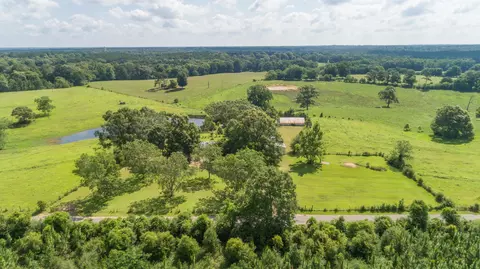470 Newman Camp Rd, Carson, MS 39427 photo 4