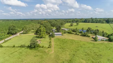 470 Newman Camp Rd, Carson, MS 39427 photo 5