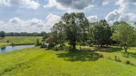 470 Newman Camp Rd, Carson, MS 39427 photo 3