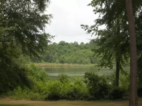 45 Nobles Rd, Laurel, MS 39443 photo 8