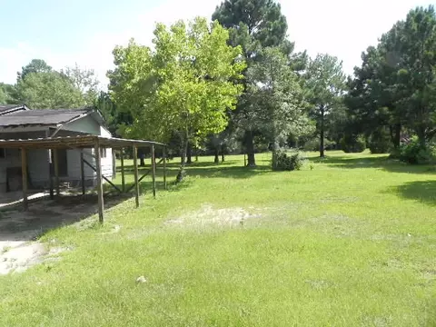 1733 Patterson Loop, Beaumont, MS 39423 photo 5