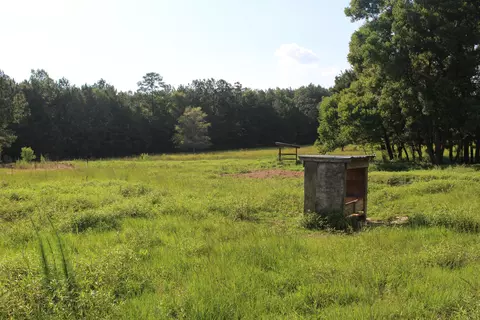 75 Bee Tree Rd, Richton, MS 39476 photo 16
