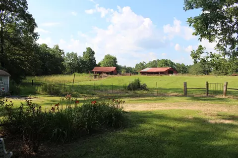 75 Bee Tree Rd, Richton, MS 39476 photo 12