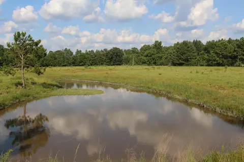 75 Bee Tree Rd, Richton, MS 39476 photo 14
