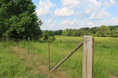 75 Bee Tree Rd, Richton, MS 39476 photo 13
