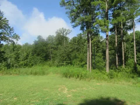 47 Patrick Rd, Laurel, MS 39443 photo 32