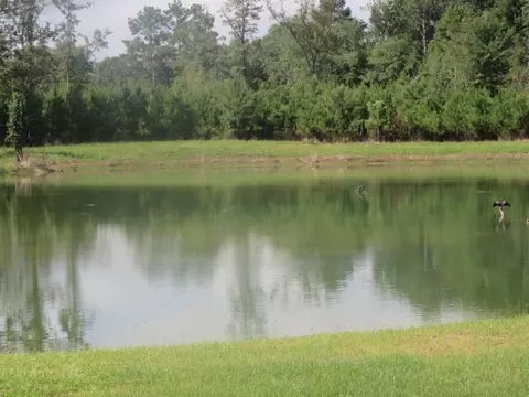47 Patrick Rd, Laurel, MS 39443 photo 34