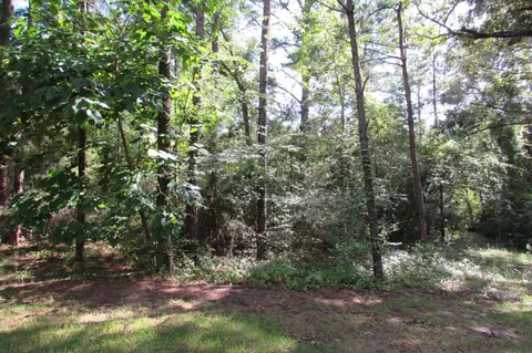 347 N Carson Rd, Carson, MS 39427 photo 24