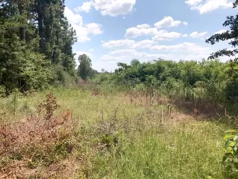 639 Wilson Floyd Rd, Magee, MS 39111 photo 29
