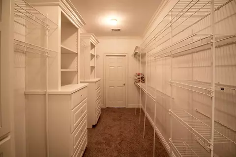 16 Palm Tree Loop, Petal, MS 39465 photo 21