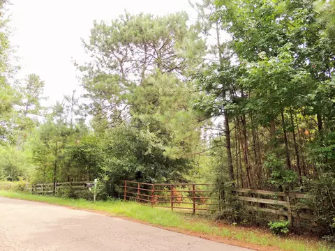 17 Raybourn Rd, Sumrall, MS 39482 photo 1