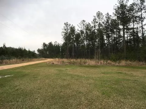 6272 Salem Rd, Mclain, MS 39456 photo 4