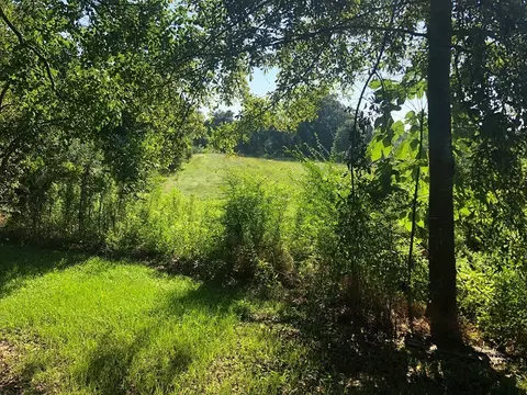 280 Springhill Rd, Laurel, MS 39443 photo 16