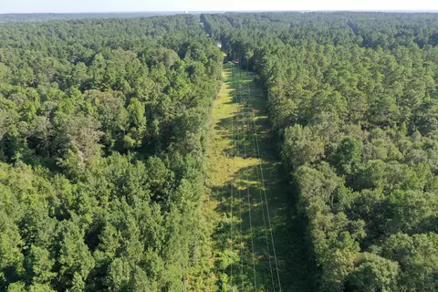 58 Bedwell Rd, Hattiesburg, MS 39402 photo 7