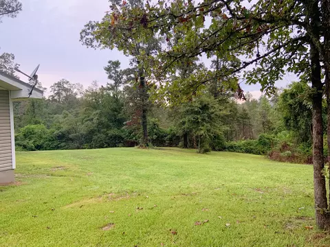 9136 Hensarling Rd, Petal, MS 39465 photo 16