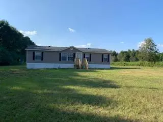 49 Stroud Rd, Mount Olive, MS 39119 photo 2