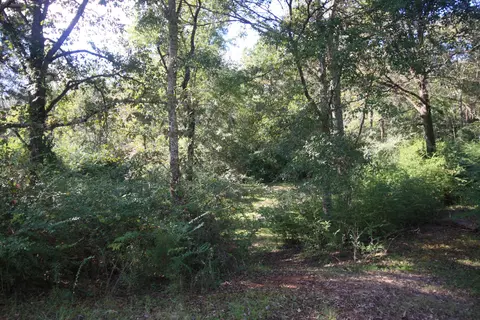 533 Knight Rd, Sumrall, MS 39482 photo 30