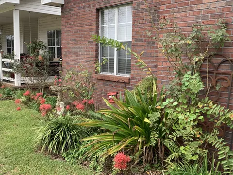 95 F L Pearson, Laurel, MS 39443 photo 4