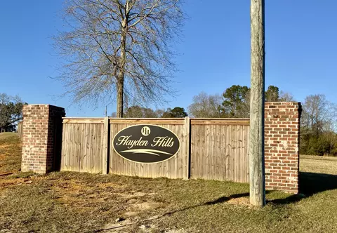 11 Morgan Ln, Sumrall, MS 39482 photo 7