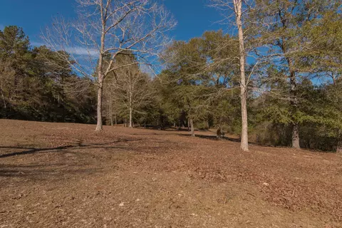 447 Snider Rd, Brooklyn, MS 39425 photo 14