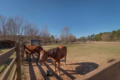 259 Mitchell, Purvis, MS 39475 photo 32