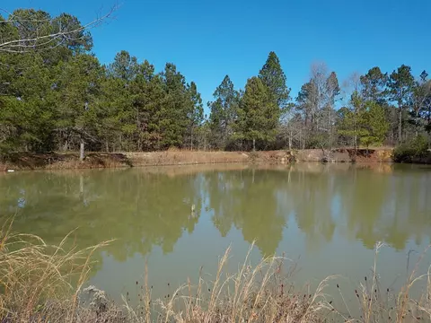 58 Sand Ln, Sumrall, MS 39482 photo 14