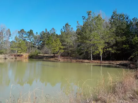 58 Sand Ln, Sumrall, MS 39482 photo 15