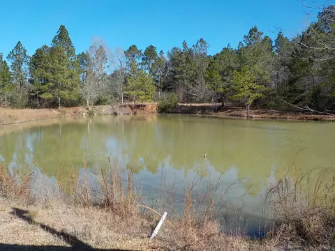 58 Sand Ln, Sumrall, MS 39482 photo 18