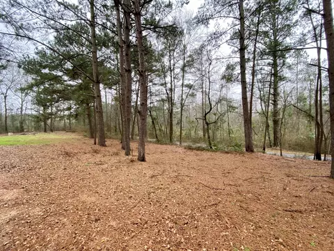 163 Scr 30a, Mount Olive, MS 39119 photo 1
