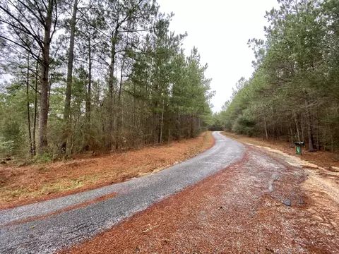 163 Scr 30a, Mount Olive, MS 39119 photo 5